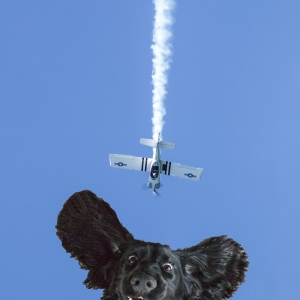 05 - What Plane - Mark Tabel