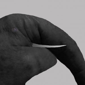 myhand